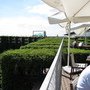 IMG_0825_resize.JPG