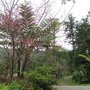 IMG_0926.JPG