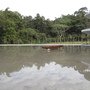 IMG_1004.JPG