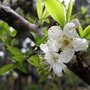IMG_0897.JPG