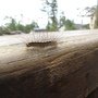 IMG_0933.JPG