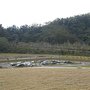 IMG_1002.JPG