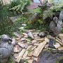 IMG_0901.JPG