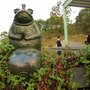 IMG_1054.JPG