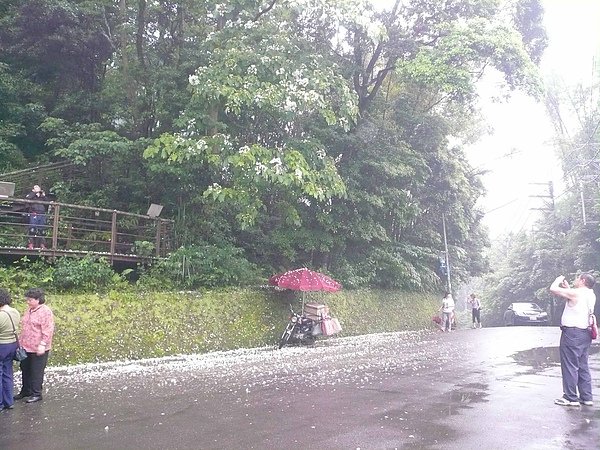 02 大雨剛過五月雪.jpg