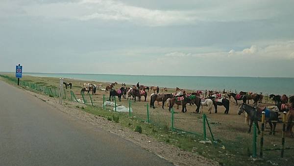 20180801 青海湖環湖自駕行