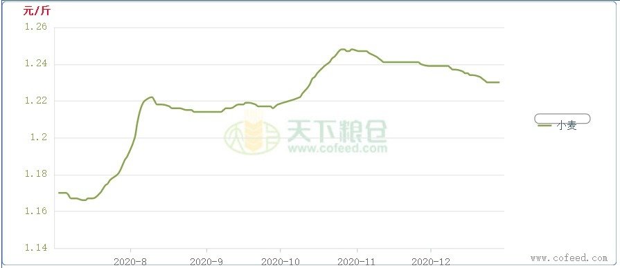 cn-s-cofeed-2020-12-30-fig02.jpg