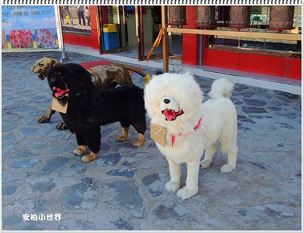 DSCN1236.JPG
