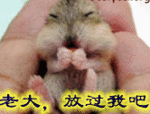 296A17D18CC67CD92B9EF85DB2E8C2FA.gif