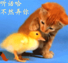 35B46C373111C01EDCD05818E0E41936.gif