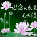 A4063448C64226772B7C17FE370E76DF.gif