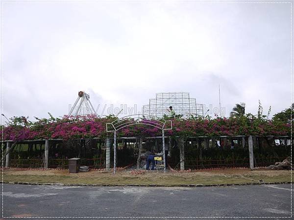 P1050912 (Large).JPG