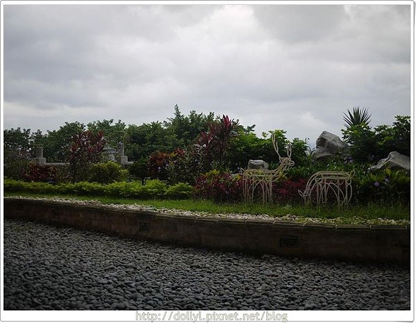 P1000776 (Large).JPG