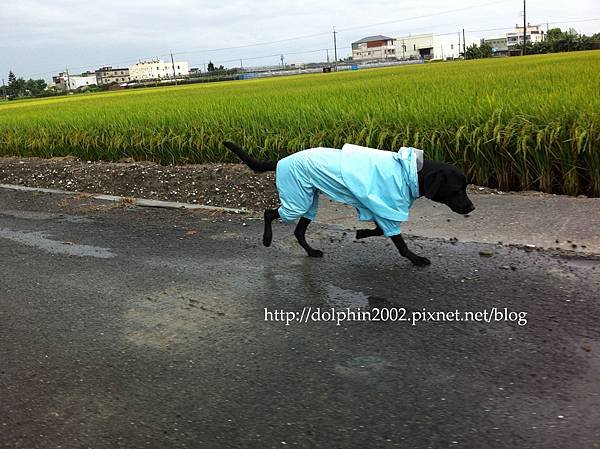 2012/06/20-颱風天