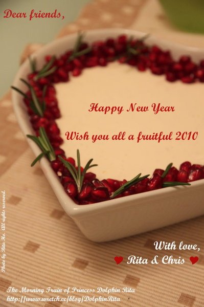 Happy New Year 2010.jpg