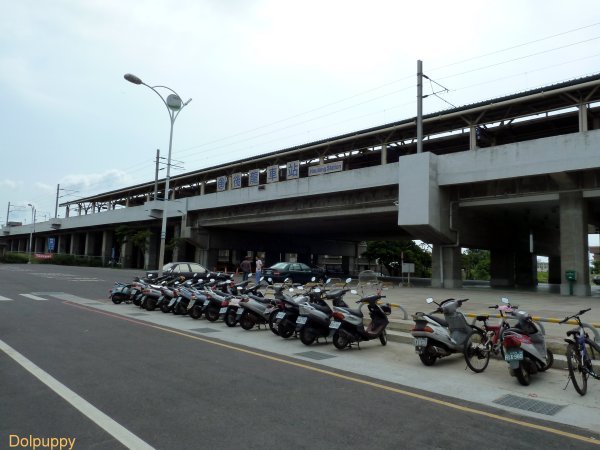 holong1.jpg