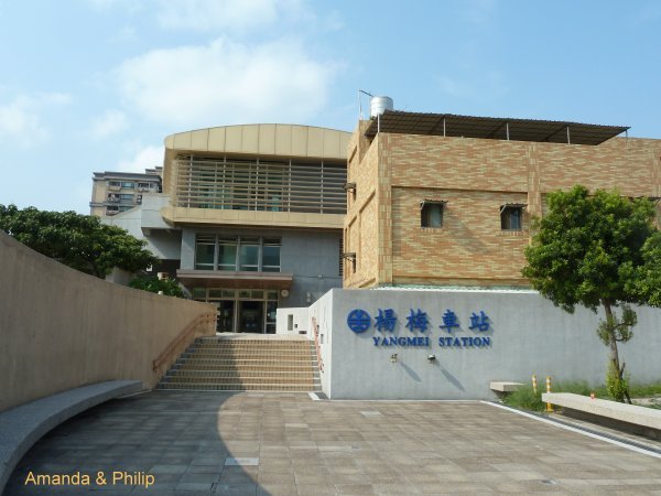 yangmei3