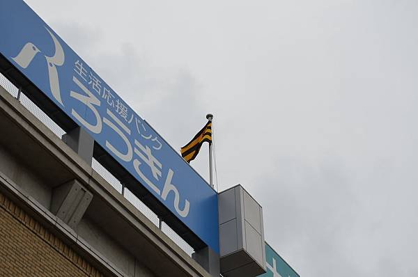 DSC_0978