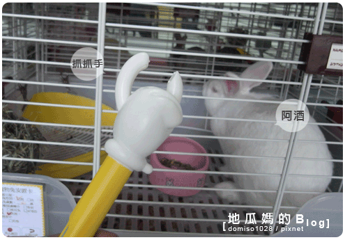 20110125-02.gif