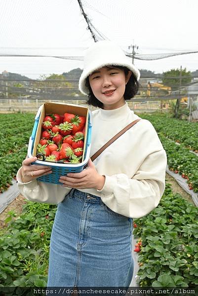 【台中採草莓】潭子福德爺草莓園超推薦！草莓又紅又甜又大顆，佔