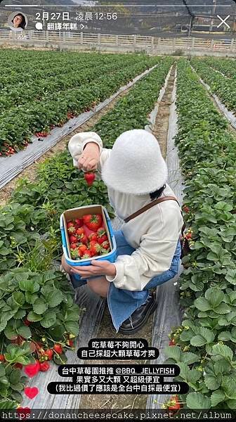 【台中採草莓】潭子福德爺草莓園超推薦！草莓又紅又甜又大顆，佔