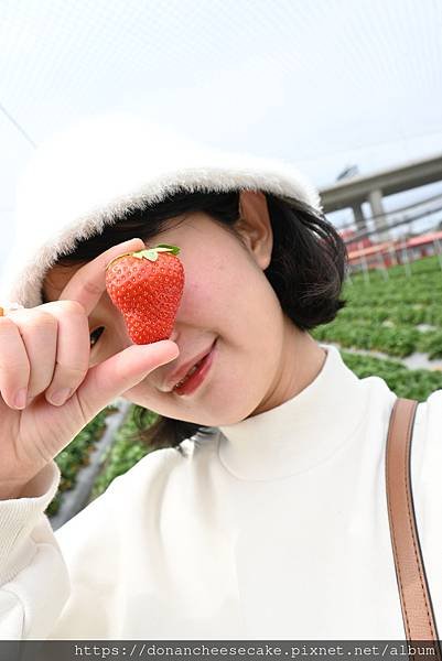 【台中採草莓】潭子福德爺草莓園超推薦！草莓又紅又甜又大顆，佔