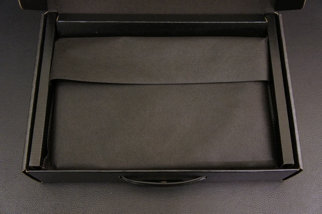 pic10
