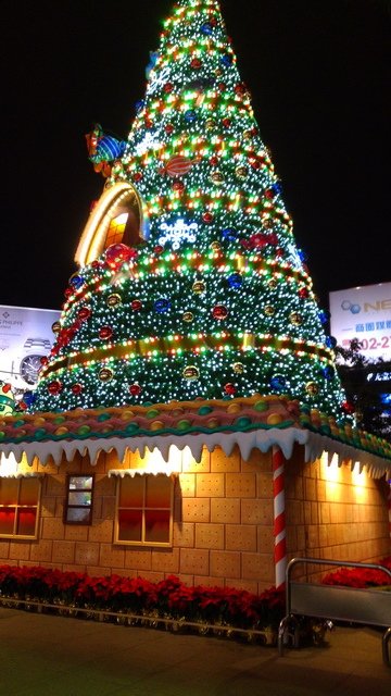 pic54.jpg