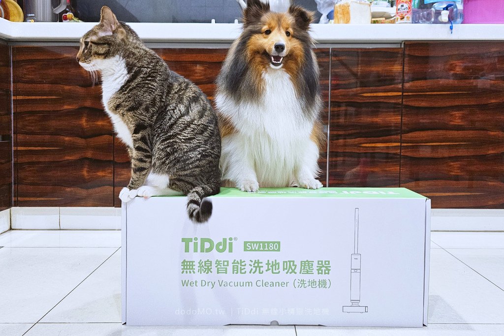2025-04 TiDdi 無線小精靈洗地機-15.jpg