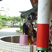 P1410116