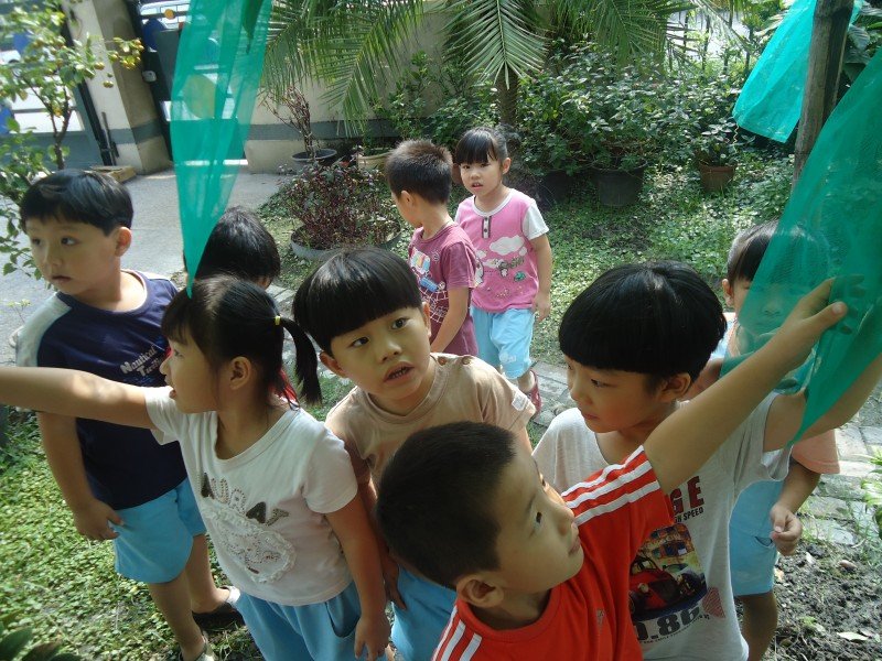 DSC02223
