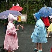 P1700083.jpg