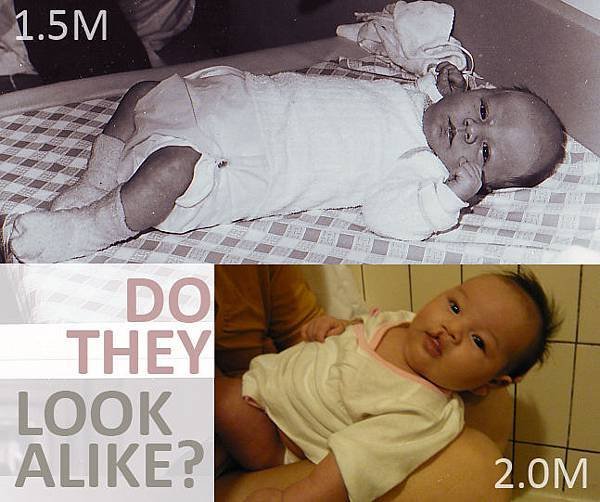 LOOK ALIKE 1 copy.jpg