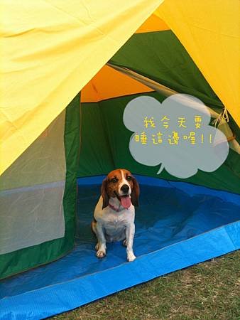 2011-06-18 石水坊露營初體驗-9.jpg