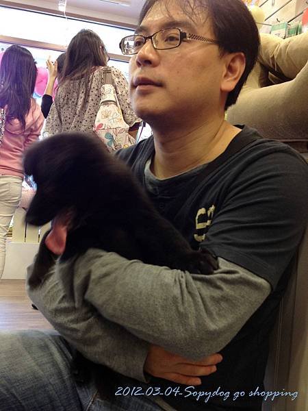 2012.03.04 Sofydog go shopping-3