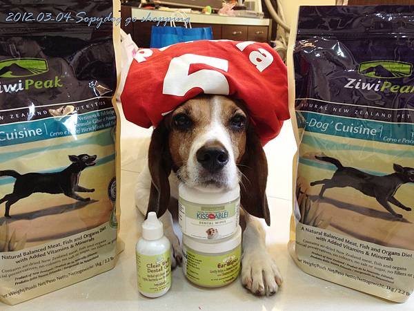 2012.03.04 Sofydog go shopping-6
