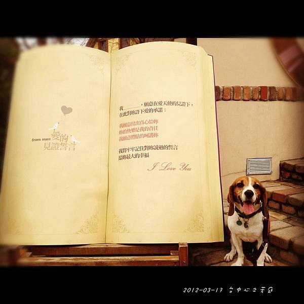 2012.03.17 台中心之芳庭-13