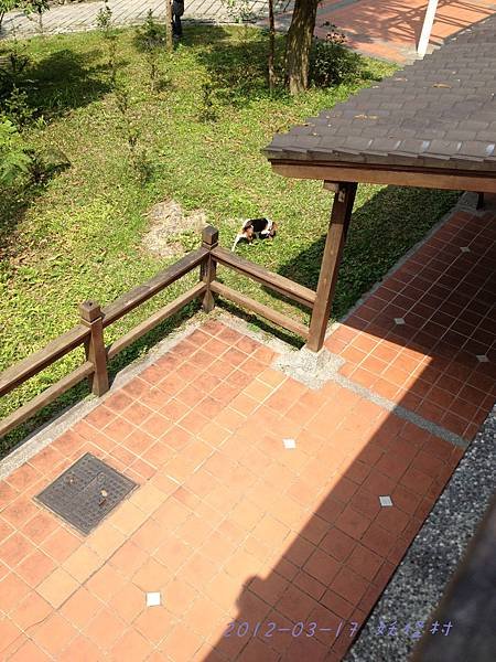 2012.03.17 內湖國小-7