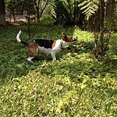 2012.03.17 內湖國小-13