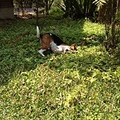 2012.03.17 內湖國小-14