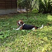 2012.03.17 內湖國小-16