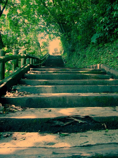 棲蘭-登山步道.jpg