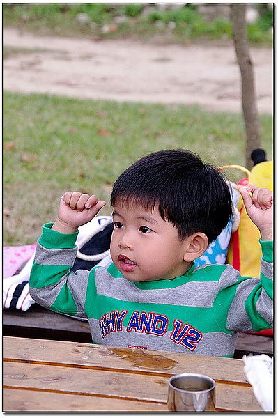 151286847_l.jpg
