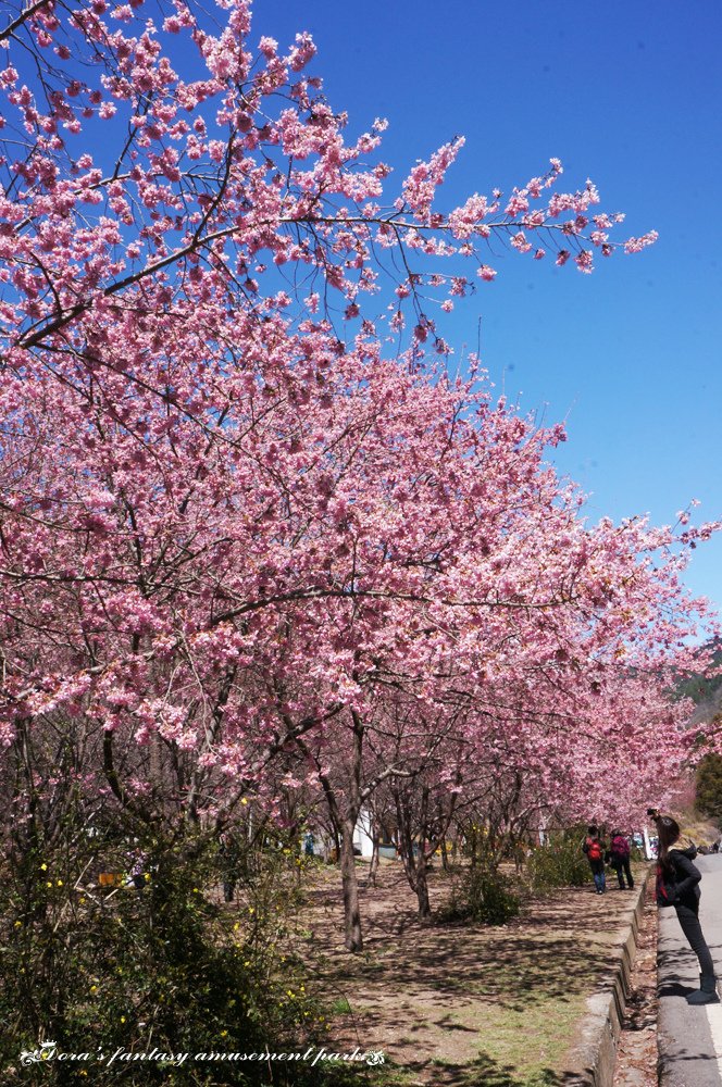 DSC08017.JPG