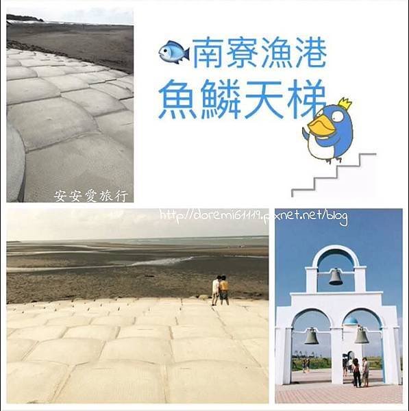 新竹5.jpg