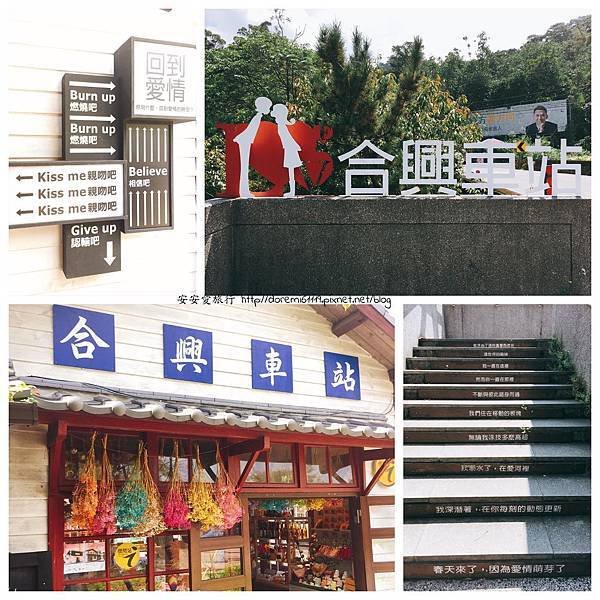 新竹2.jpg