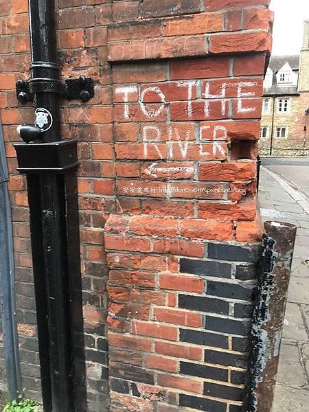 punting1.jpg