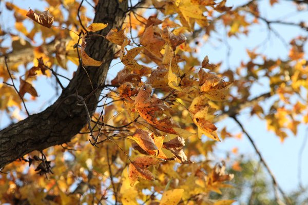 IMG_6344.jpg