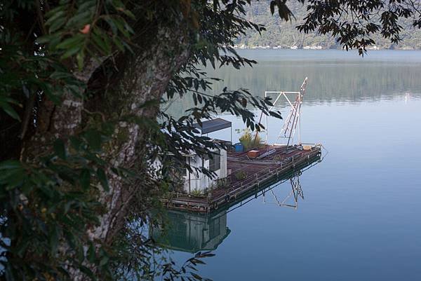 IMG_7615.jpg