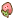 tarugi4.gif